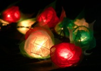 ragw rose string_sml.jpg